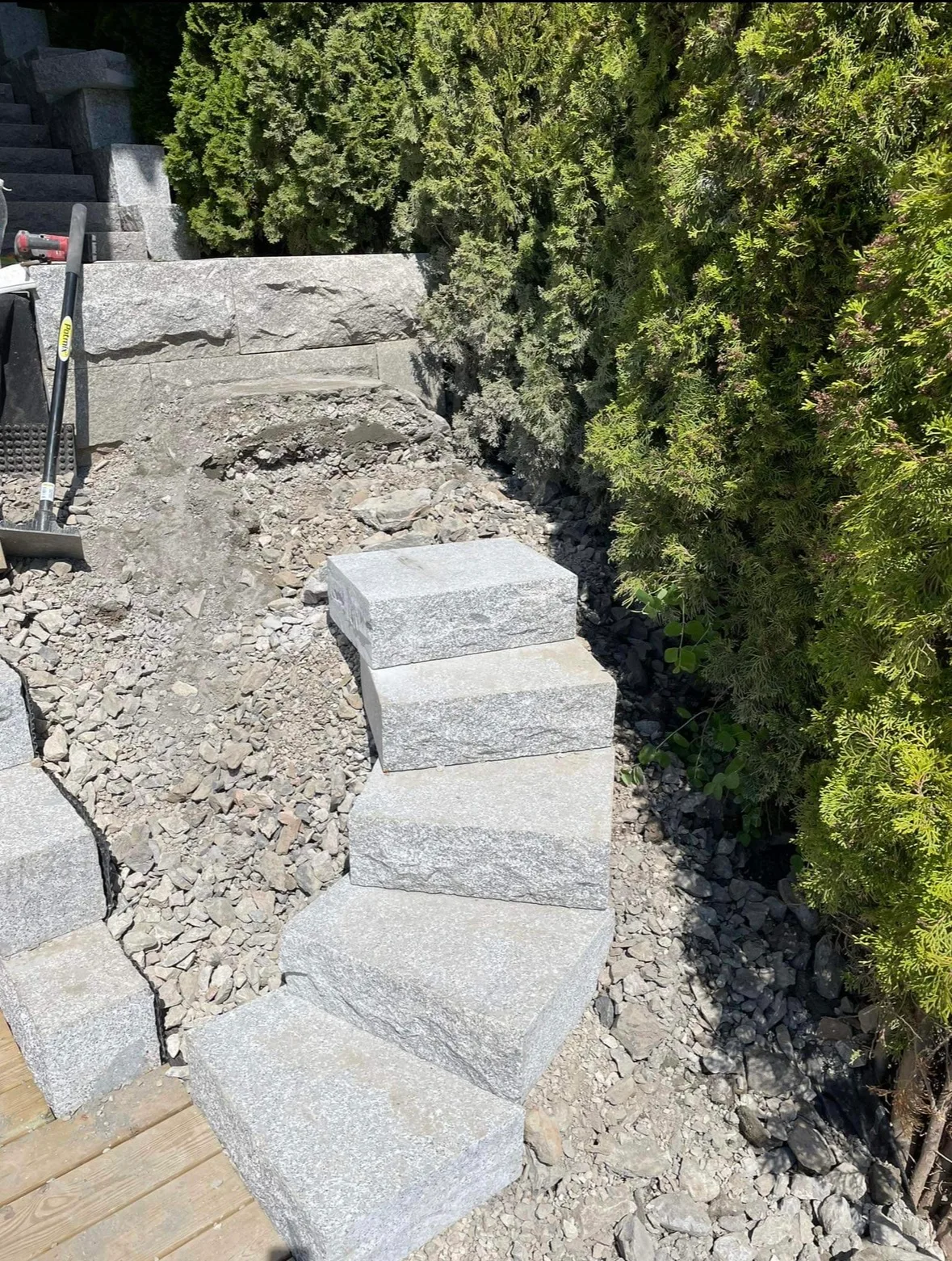 Concrete stepped pathway with ivy plant border